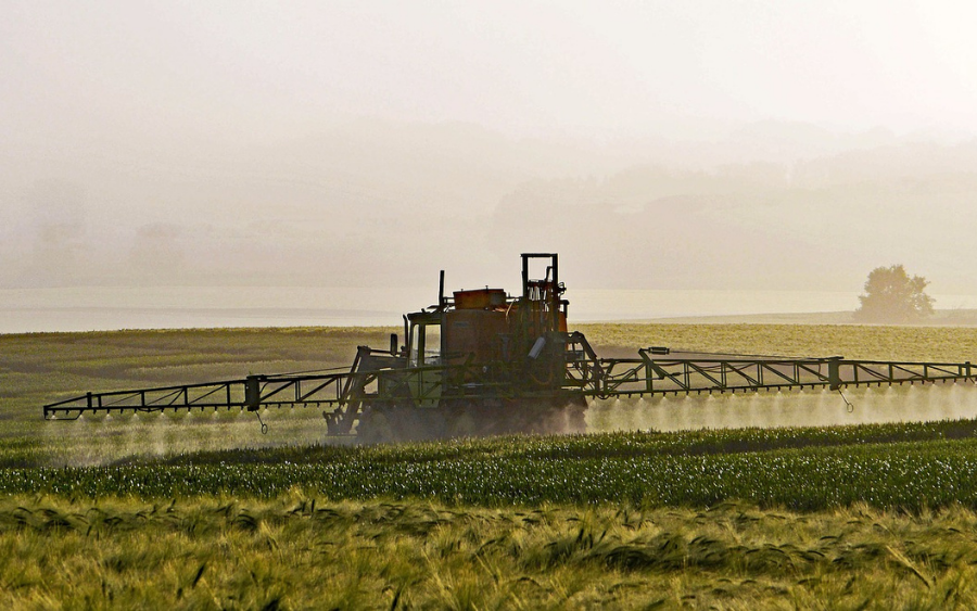 glyphosate