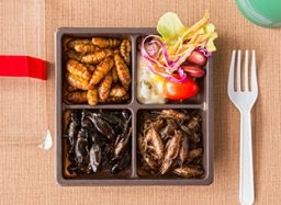 euandmyfood