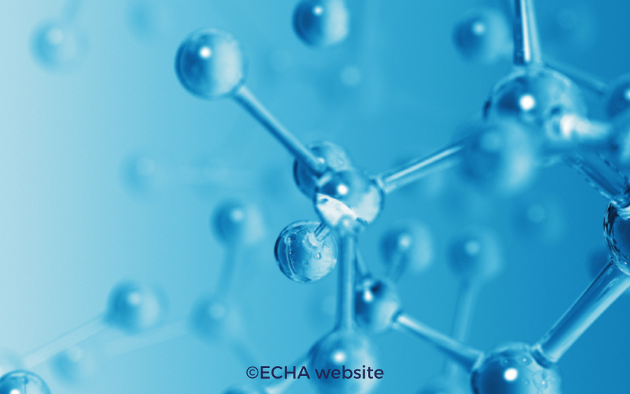 ECHA Report reach