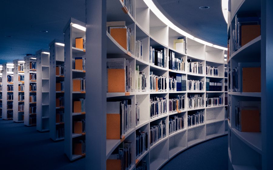 martin-adams-_OZCl4XcpRw-unsplash(1)