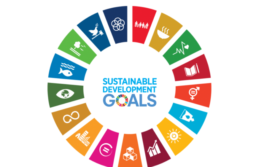 sdg_-_wheel_-_smaller_2(1)